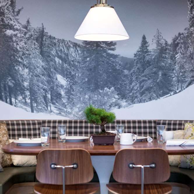 Little Pine, Los Angeles, USA